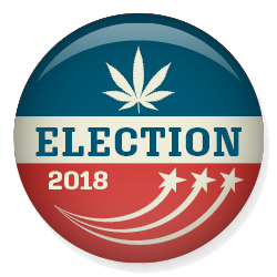 Hemp on the ballot in key states, with THC limits and production rules on the line