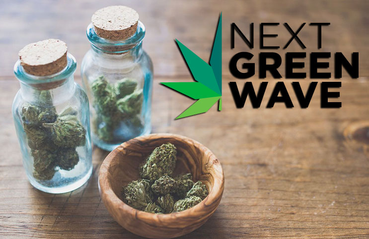 next green wave pot stocks