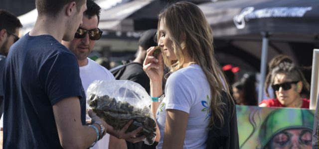 If you had tickets to the now-cancelled Sacramento Cannabis Cup, read this