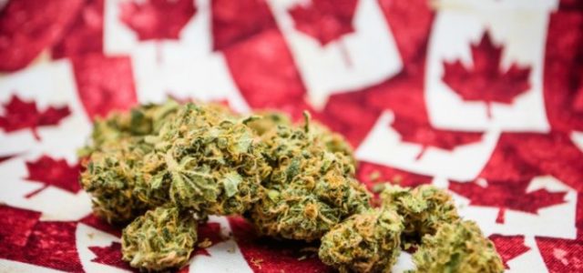 Investors Get Into High Gear As They Prepare for Recreational Cannabis in Canada