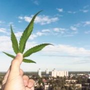 Marijuana Bigwigs Canopy, Aurora, Tilray, and Cronos Stock Forecasts Boost Higher Post-Legalization