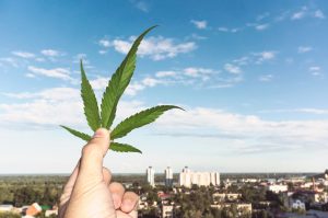 Marijuana Bigwigs Canopy, Aurora, Tilray, and Cronos Stock Forecasts Boost Higher Post-Legalization