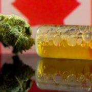 Marijuana News Today: Marijuana Shortages Plague Canada, Pot Stocks Stabilize