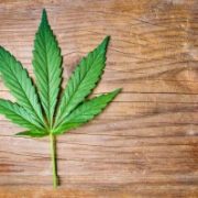 Marijuana News Today: Midterms Approach With Huge Implications for Pot Legalization in the U.S.