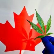 Marijuana News Today: Pot Sales Continue to Boom in Canada, Stocks Rise