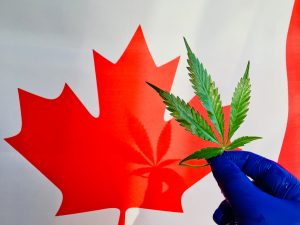 Marijuana News Today: Pot Sales Continue to Boom in Canada, Stocks Rise