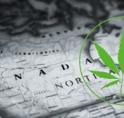 Marijuana News Today: Pot Stocks Rebound as Some Stores Sell Out Following Marijuana Legalization