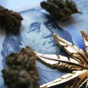 Marijuana News Today: Tilray Stock Surges, Analysts Predict Huge Market for Cannabis-Infused Beverages