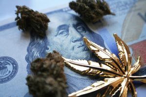 Marijuana News Today: Tilray Stock Surges, Analysts Predict Huge Market for Cannabis-Infused Beverages