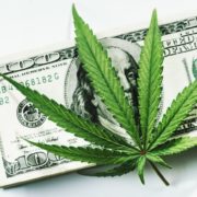 Marijuana Stocks Newsletter – October 11, 2018