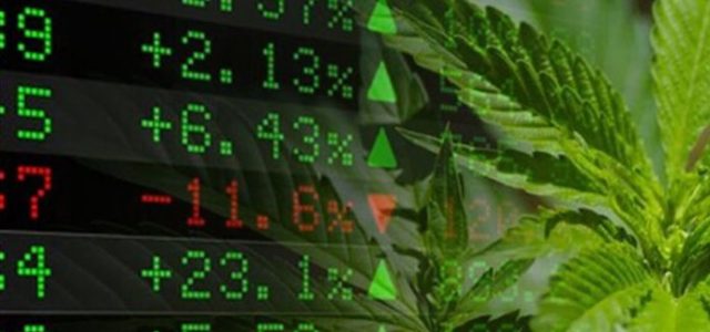 Marijuana Stocks Resilient to Market Drop