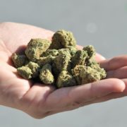 Niagara Co. Board of Health opposes recreational marijuana
