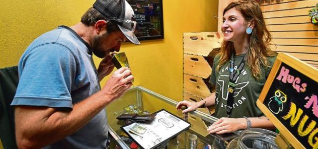 Terrapin Care Station offers discounted weed for registered voters