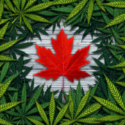 The Potential for Cannabis Trademarks in Canada is Huge