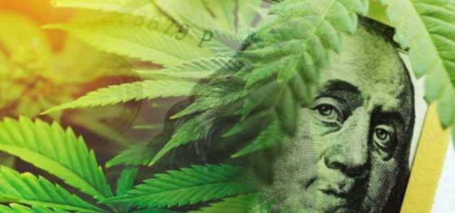 These Marijuana Stocks Are Running the Market