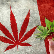 Today is The Big Day For Legal Cannabis In Canada
