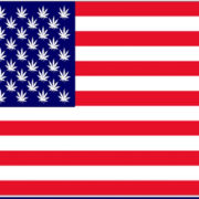 What Voting Will Look Like for Cannabis in the U.S.