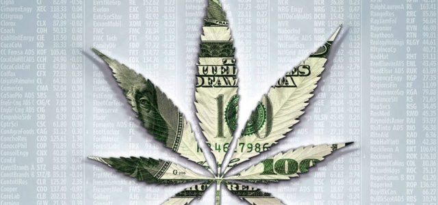 All You Need to Know About Marijuana Penny Stocks – MedicalMarijuanaBlog.com