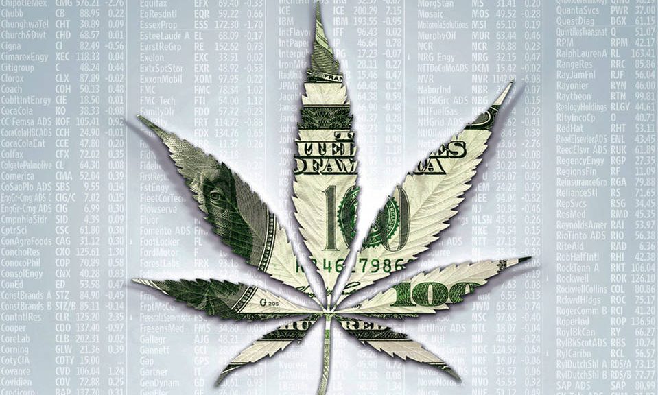 Marijuana Penny Stocks