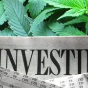Cannabis Stocks Get Boost After Michigan Votes To Legalize Recreational