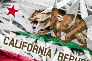 california elections cannabis marijuana