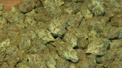 weed2 I Team: Recreational Marijuana Sales Raise Safety Concerns