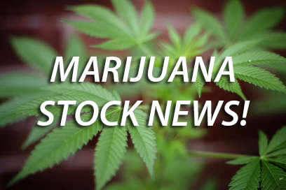 marijuana stocks