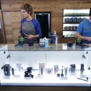 Marijuana in Massachusetts: Recreational pot shops set to open