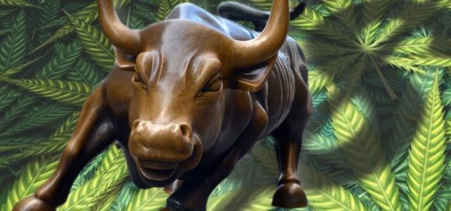 Marijuana Investors Are Bullish With These Stocks