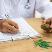 Marijuana News Today: New Science Could Be a Boon for Pot Stocks