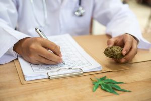 Marijuana News Today: New Science Could Be a Boon for Pot Stocks