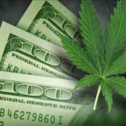Marijuana Stocks and What The Current Numbers Say About The Sector