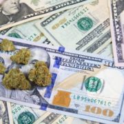 Marijuana Stocks Bounce Back After Massive Selloff – Marijuana Stocks | Cannabis Investments and News. Roots of a Budding Industry.™