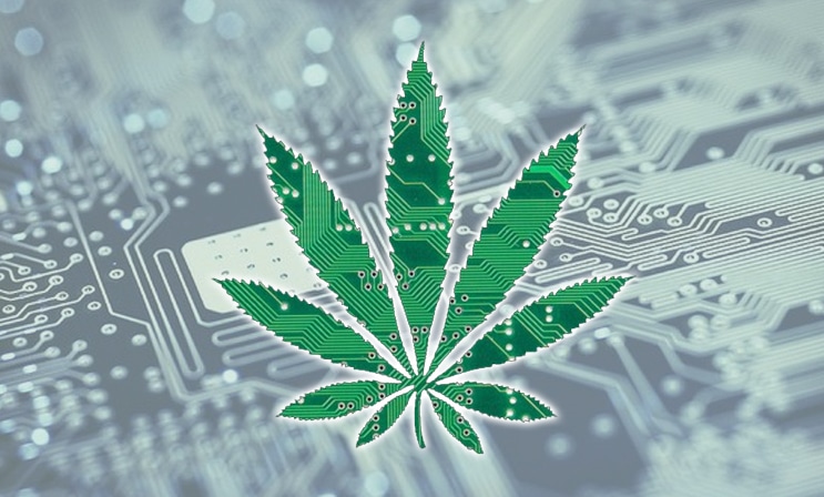 Marijuana technology
