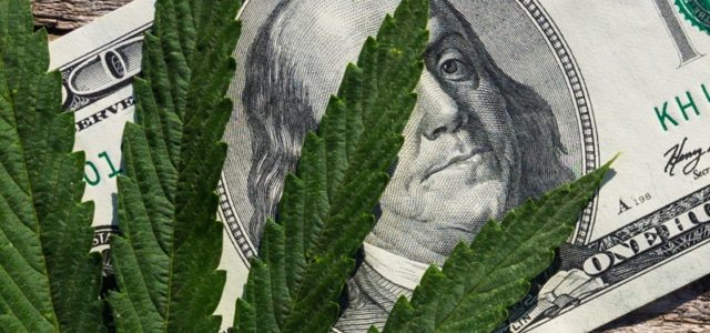 Marijuana Stocks Newsletter – November 20, 2018