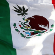 Mexico considers legalizing marijuana during its war on drugs