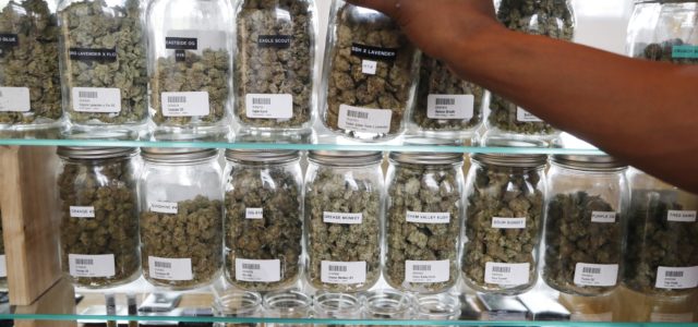 Michigan, North Dakota weigh bringing legal marijuana to Midwest