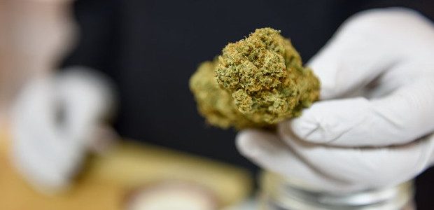 Michigan recreational marijuana expected to be legal by Dec. 6