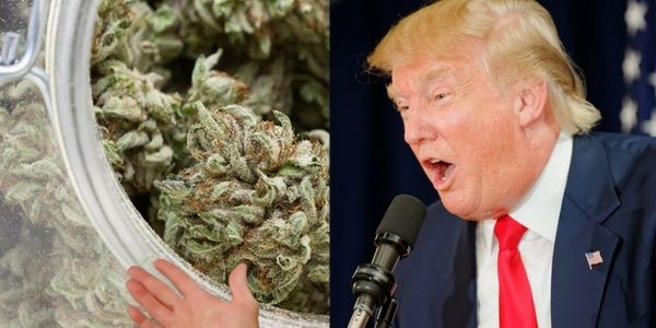 Multi-Millionaire Who Predicted Trump’s Victory, Predicts Complete US Marijuana Legalization In A Few Weeks