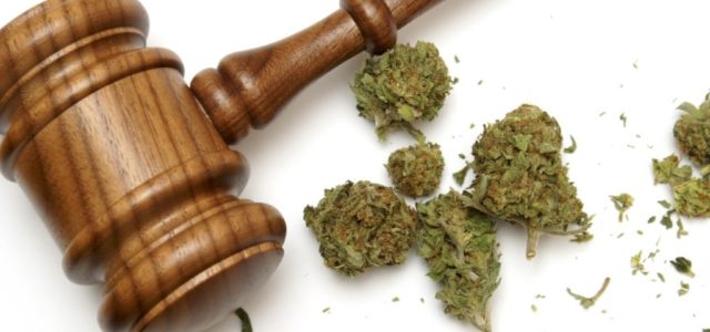 ‘Pot law’ is a budding industry for Michigan attorneys