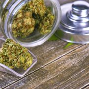 This Pot Stock Looks Like a Genius Following Michigan’s Legalization of Recreational Marijuana — The Motley Fool