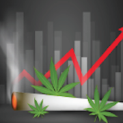Two Marijuana Stocks to Buy as Legalization Spreads