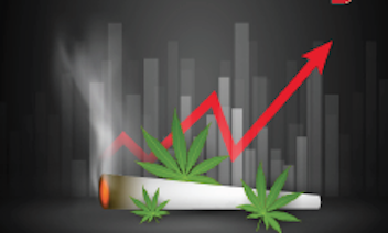 Two Marijuana Stocks to Buy as Legalization Spreads