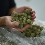 Voters favoring new marijuana rules in San Bernardino, Riverside counties