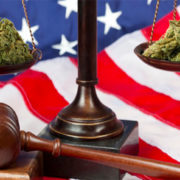 What Will The Future Hold For Legal Marijuana