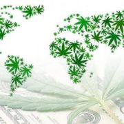 International Marijuana Stocks Are on the Rise