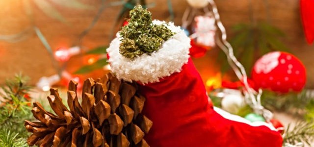 Marijuana Stocks Newsletter – Friday, December 21, 2018