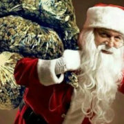 Marijuana Stocks Riding Post Christmas High
