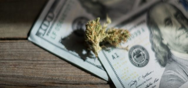 The East Coast Marijuana Stock Market is Booming