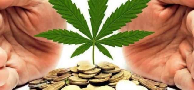 Alternative Investments in Marijuana Stocks Take Over